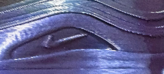 Nike airmax 95 keyring chameleon